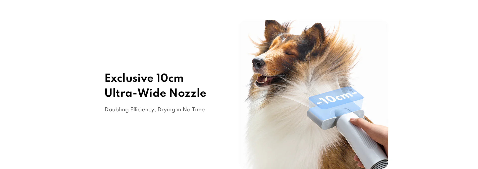 Homerunpet Pet Hair Dryer Homerunpet Pet Hair Dryer