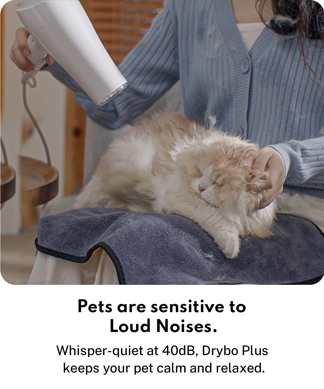 Drybo Plus Smart Pet Dryer Drybo Plus Smart Pet Dryer