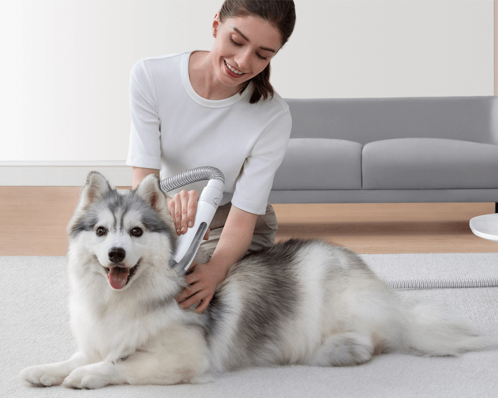 Voice from customer nice commet homerunpet grooming kit and dog vacuum