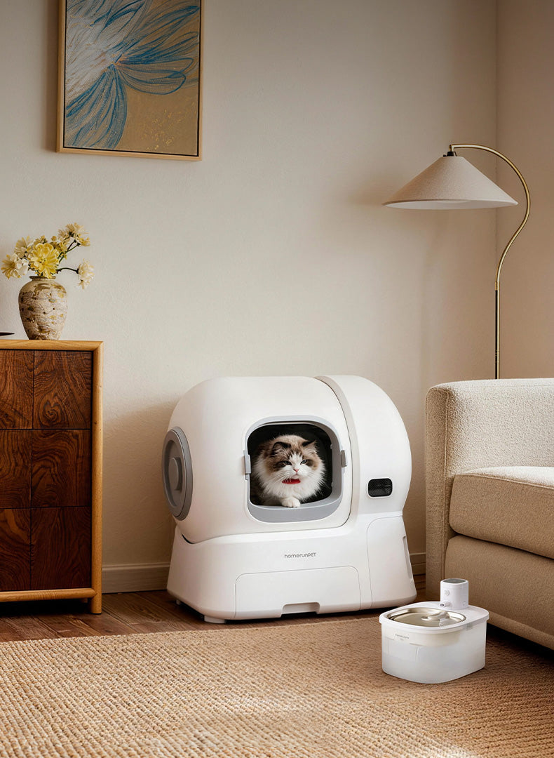 <p>Start the Year Fresh </p><p>— For You & Your Cat</p>