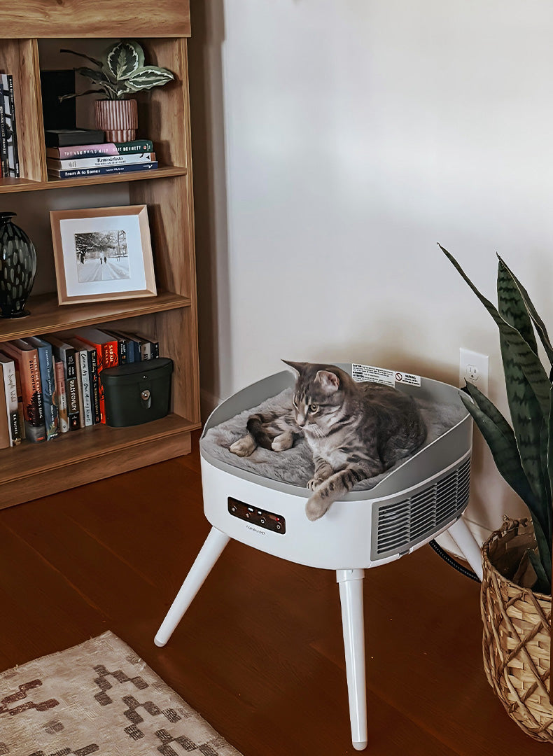 <p>Pet-Friendly Space Heater</p>