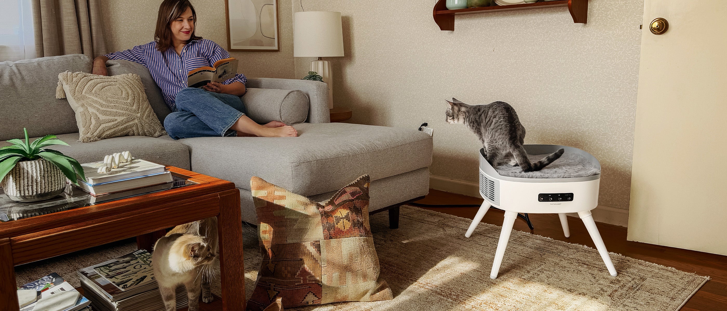 <p>Pet-Friendly Space Heater</p>