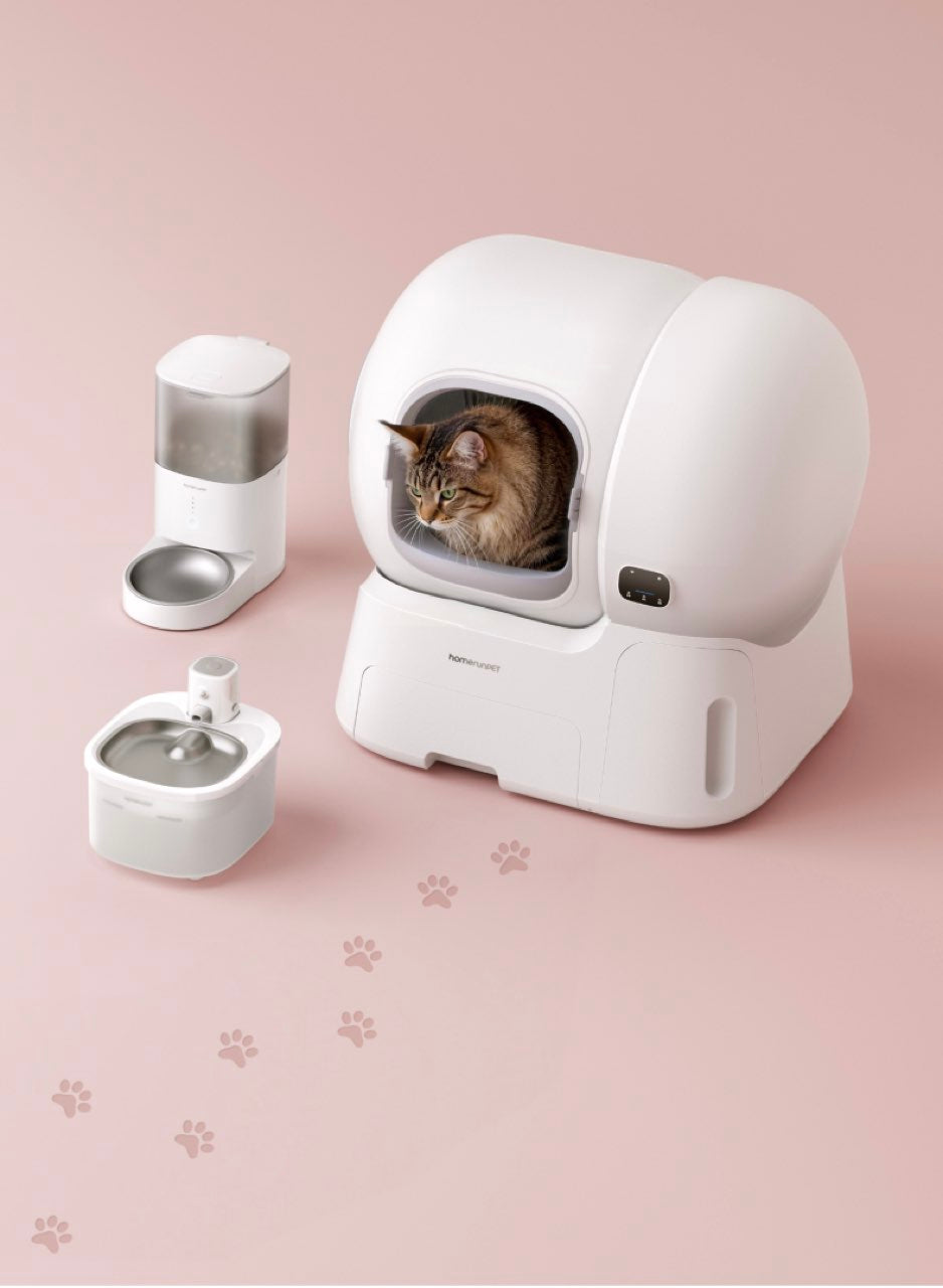 <p>A little love, every day</p>