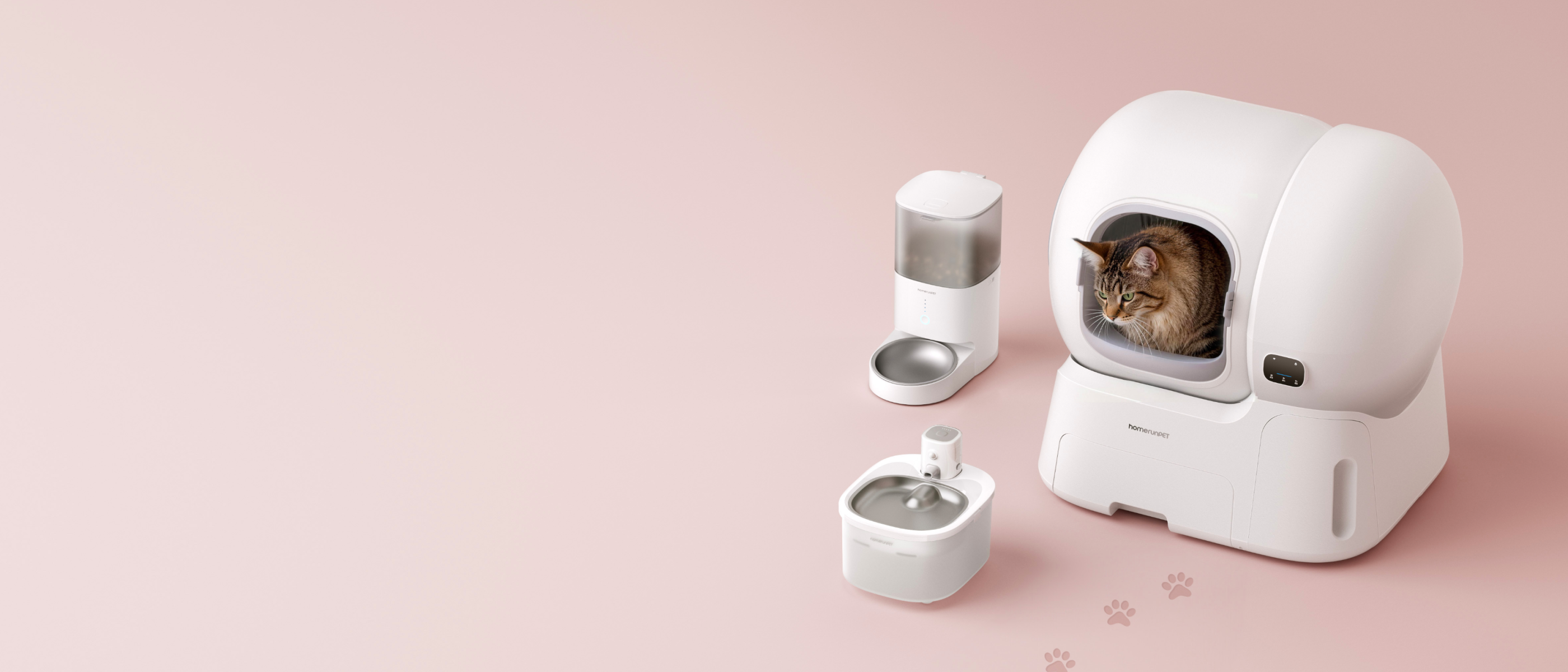 <p>A little love, every day</p>