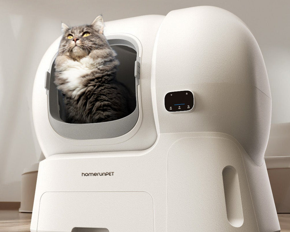 A Maine Coon Cat using a Homerunpet self-cleaning  litter box in a modern indoor setting